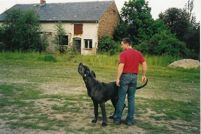 Bild 24