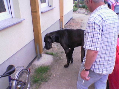 Bild 24