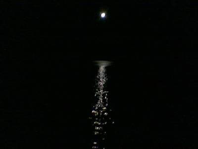 Bild 96