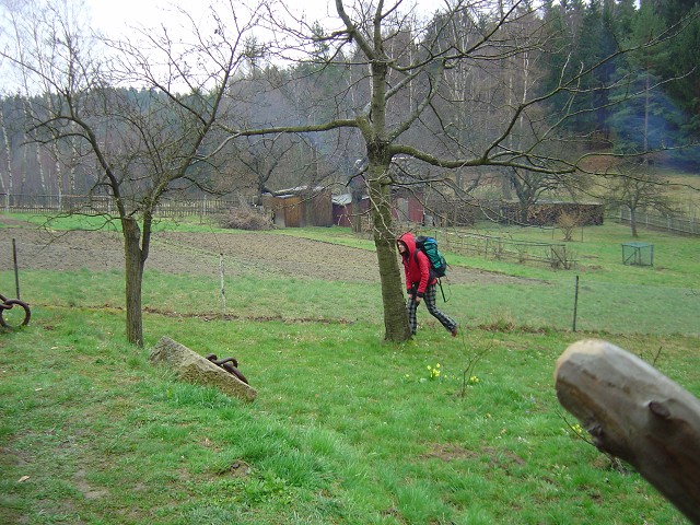 Bild 48
