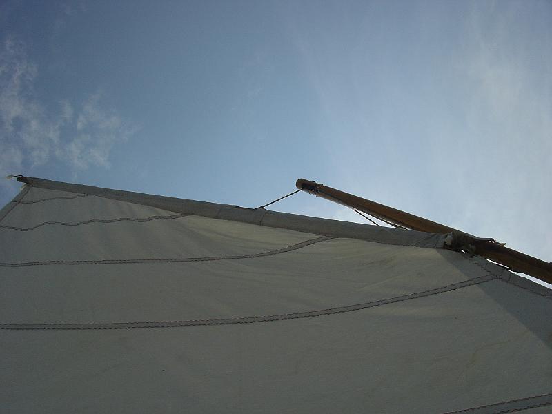 DSC02247.JPG