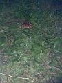 Bild040