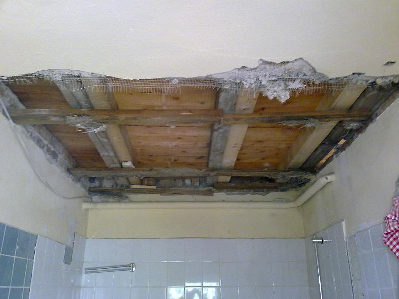 11092010145.jpg