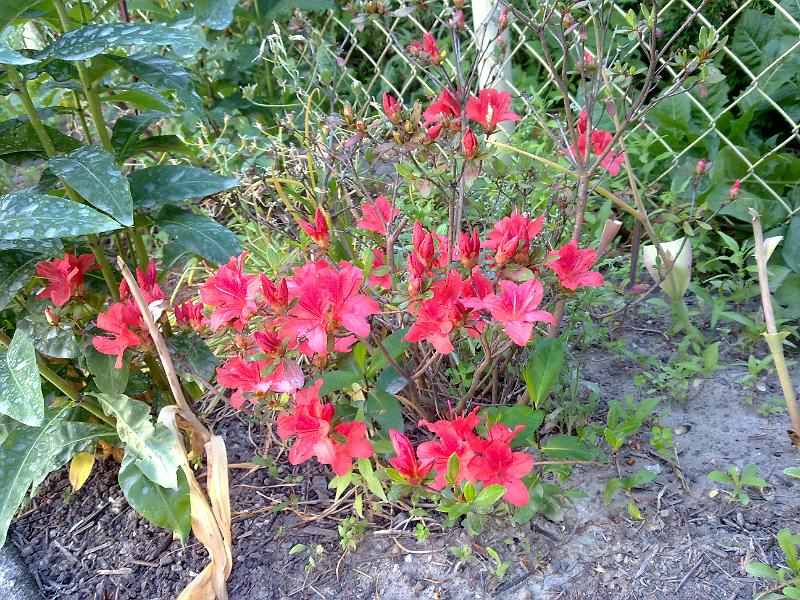 060620111426.jpg