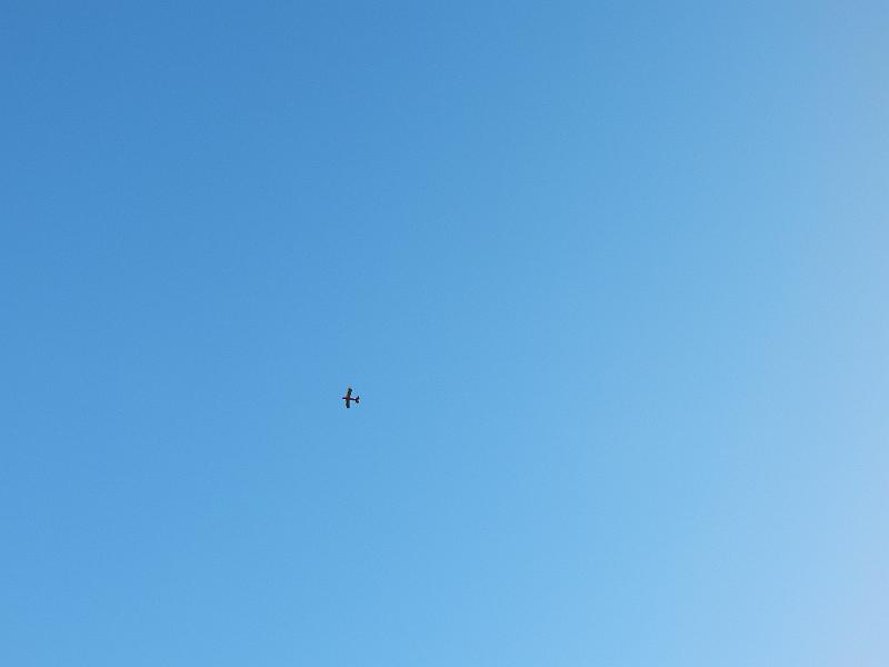 DSCN1105.JPG